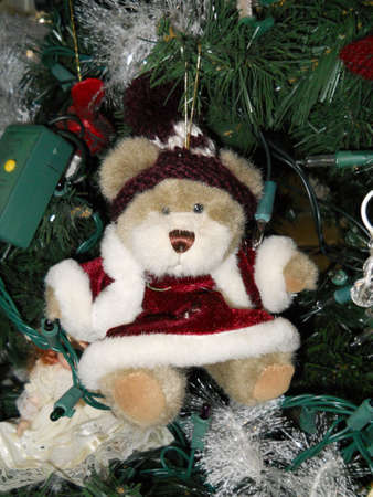 Oh Christmas Treeの写真素材