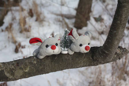 Christmas Mouseの写真素材