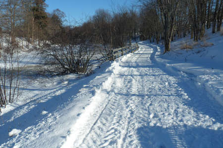 Winter Sceneの写真素材