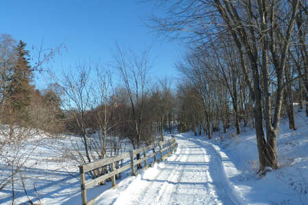 Winter Sceneの写真素材