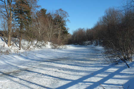 Winter Sceneの写真素材