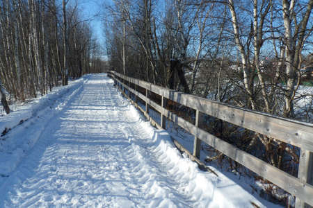 Winter Sceneの写真素材