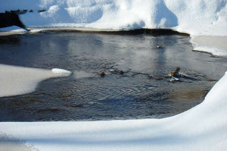 Winter Sceneの写真素材