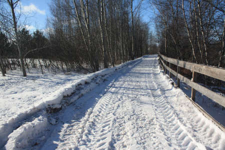Shades of Winterの写真素材