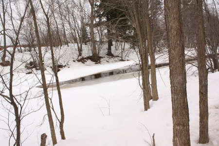 Scenes of Winterの写真素材
