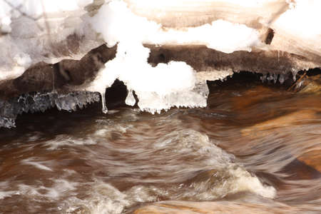  Winter Forestの写真素材