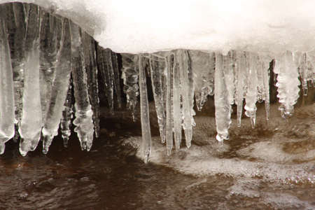  Winter の写真素材