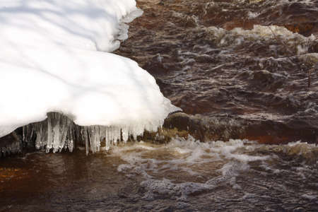  Winter Forestの写真素材