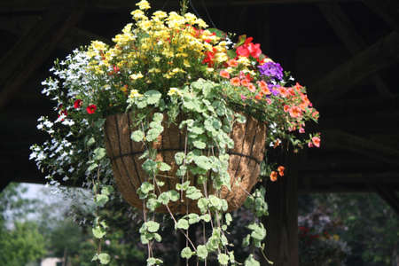Flower Basketの写真素材