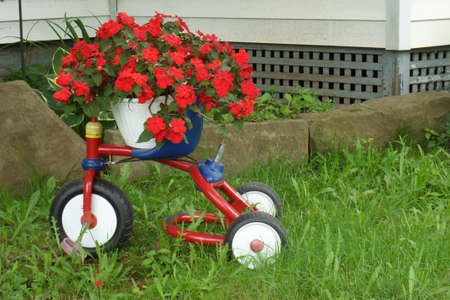 Flowersの写真素材