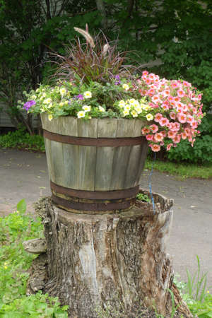 Flowersの写真素材