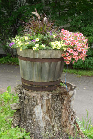 Flowersの写真素材