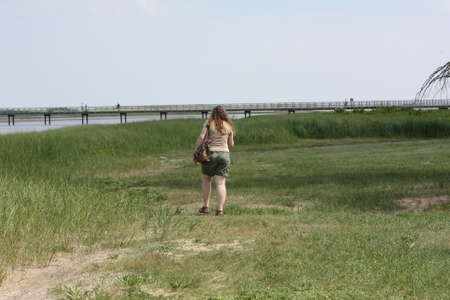 Beachの写真素材