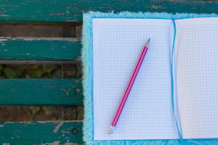 Notebook and pencil placed on the green bench on a sunny dayの写真素材