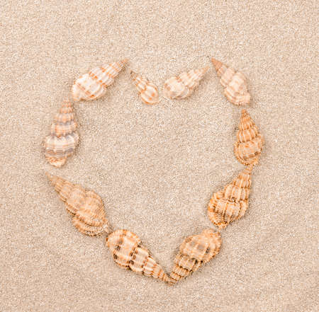 Close up of shells on sand texture. Background from fine sand. Seashells laid out in the shape of a heartの写真素材