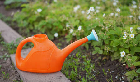 orange watering can in the green gardenの写真素材