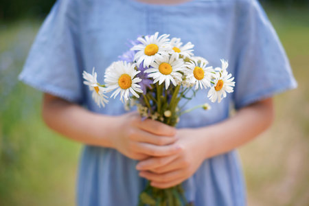 young girl in blue dress holding bunch of chamomile on the fieldの写真素材