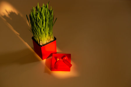 green grass with bow in a gift box on the yellow backgroundの写真素材