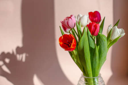 bouquet of tulips in sun on window