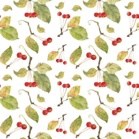 Wild apples seamless pattern. Watercolor illustration