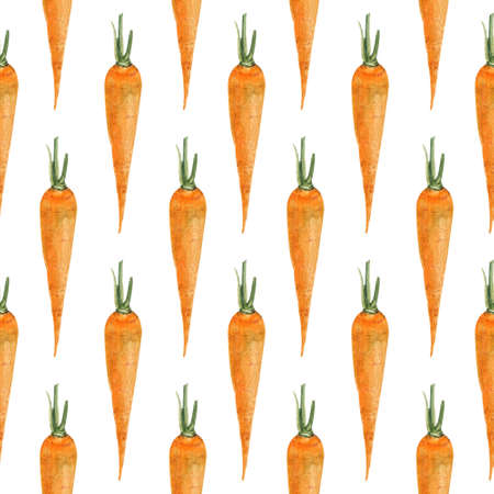Watercolor seamless background with radish on a white background. Menu design, textile design, printing.の写真素材