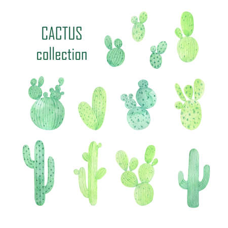 Watercolor set of cactus. Isolated on white background.の写真素材