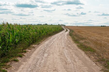 road in the fieldの写真素材