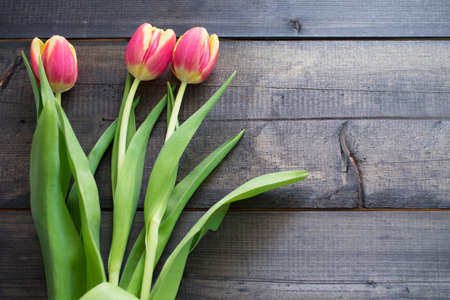Bouquet of tulips on wooden background. Top view.