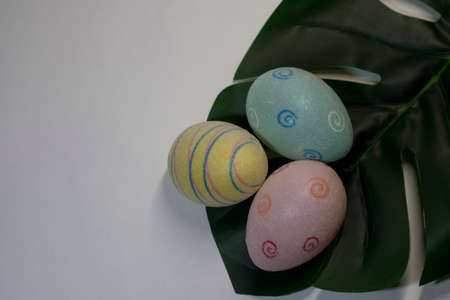 easter eggs on grass, traditionalの写真素材