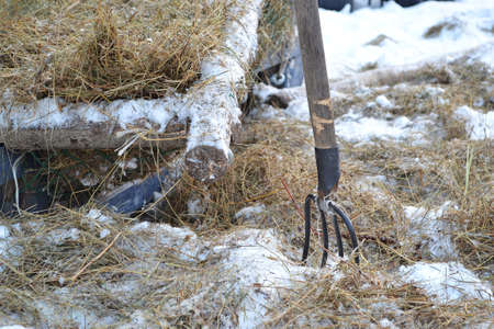 Pitchfork and hay on snowの写真素材