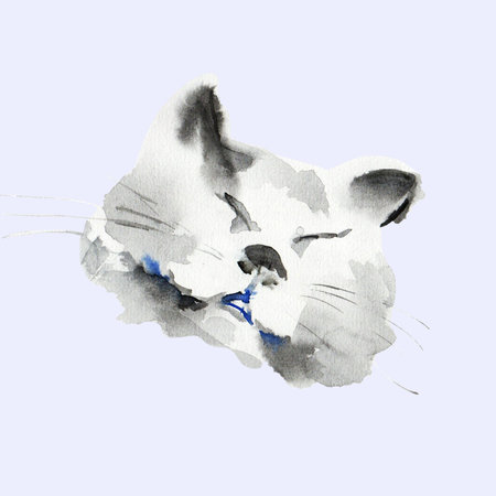 Cute cat face sketch, animal print stains, beautiful shapes, pastel color palette. Watercolor illustration of sleeping, lying petの写真素材