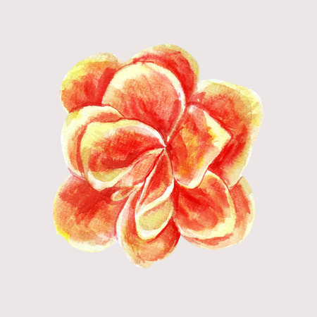 Kalanchoe with flowers and leaves of succulents. Watercolor hand painted illustration isolated on white background. Decorative elements for greeting cards, wedding invitations and celebrationsの写真素材