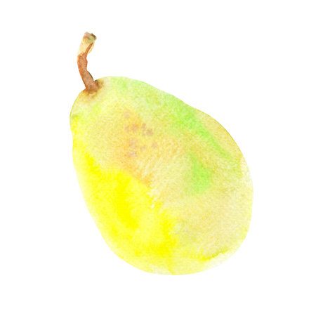 Fresh ripe yellow honey pear fruit isolated on a white background. Realistic illustration with watercolor hand drawn. Delicious aromatic fruit ripened on a tree for fabric, kitchen towelsの写真素材