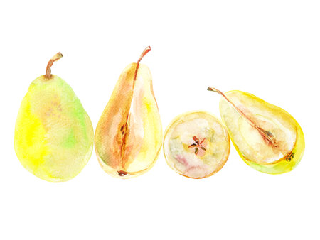 Set of fresh ripe yellow honey pear fruits. Hand drawn watercolor illustration. Delicious aromatic fruit ripened on a treeの写真素材