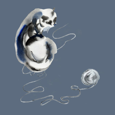 Cat with a wool ball. Fluffy cat lies after playing with a wool yarn. Watercolor sketch shows a cheerful, happy and fluffy cat sleeping after its game in monochrome color on dark background. The skeinの写真素材