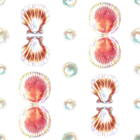 Pattern of scallop, bivalve marine mollusk, grooved shell with pearls in watercolor. Red Scallop, Calico Scallop, Argopecten Gibbus. This shells side is concave in shape. Circular shaped withの写真素材