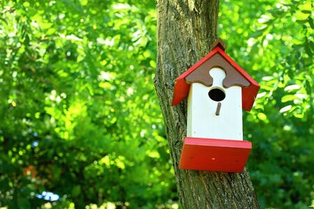 Cute little birdhouse on a tree. Home sweet home concept.の写真素材