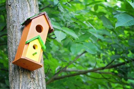 Cute little birdhouse on a tree. Home sweet home concept.の写真素材