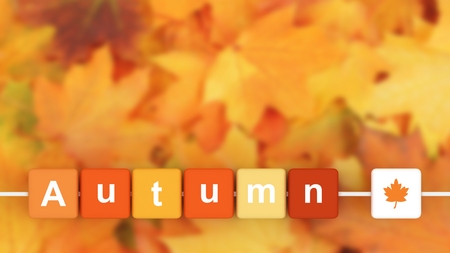 Autumn background, wallpaper, postcard.の写真素材
