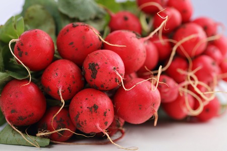 Fresh organic radishes close up. Healthy eating and lifestyle conceptの写真素材