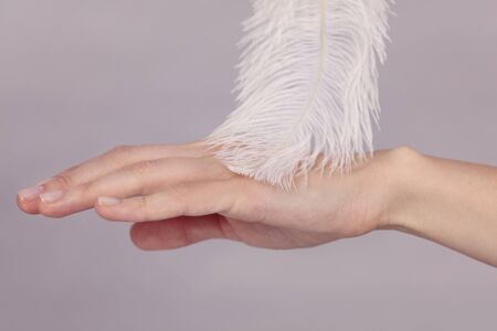 Woman touching her smooth perfect hand skin after beauty treatment with feather.の写真素材