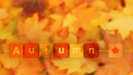 Autumn background, wallpaper, postcard.の写真素材