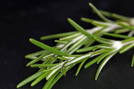 Rosemary on black background. Fresh, raw, organic vegetables. Cooking, Healthy eating concept.の写真素材