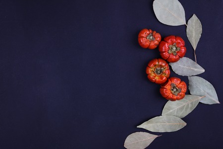 Colorful dry vegetables and spices on dark background. Cooking, healthy eating concept, copy spaceの写真素材
