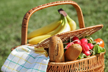 Picnic basket with healthy food and blanket on green grass in park, nature. Lunch break outdoors , Time for relax, Leisure Lifestyle Conceptの写真素材