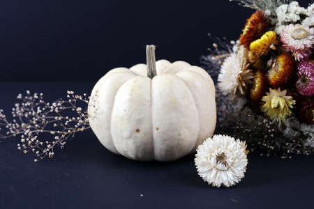 White pumpkin on black background. Seasonal fall greeting card concept. minimalist styleの写真素材