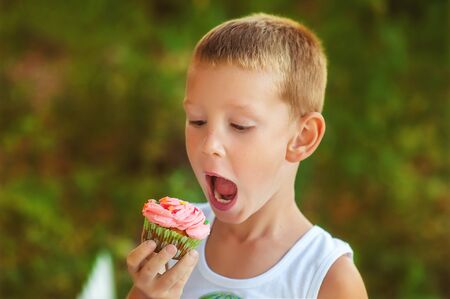 5 years old boy eat homemade gluten free healthy cupcake. Organic natural baking for children. Delicious muffin on birthday party. Children on outdoors birthday party in summer time. Hungry kid.の写真素材