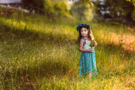 Beautiful 5 years old girl in wreath from cornflowers knapweeds on meadow in blue dress in summertime sunset light. Close to nature lifestyle in childhood. Summer dangerous for allergic peopleの写真素材