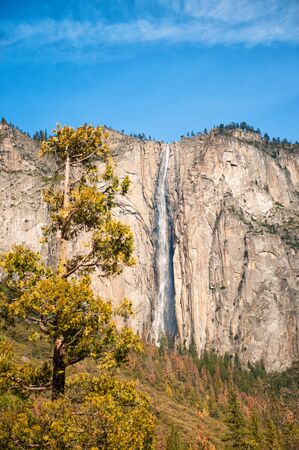 Vertical scenic landscape with waterfall, rocks and large sequoia in Yosemite valley, Yosemite national park, California, USA. Travel tourism hiking destination. View of waterfall in sunny day.の写真素材
