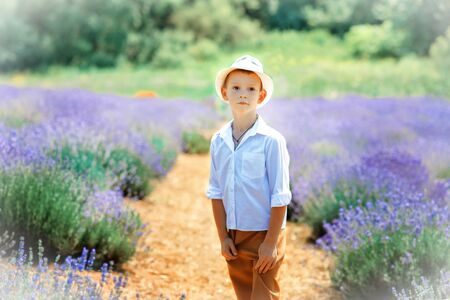6 years old boy in white shirt, white hat and brown trouters staying in lavender field in hot summer day. Childhood close to nature. Typical provencal landscape. Vintage style postcard with child.の写真素材